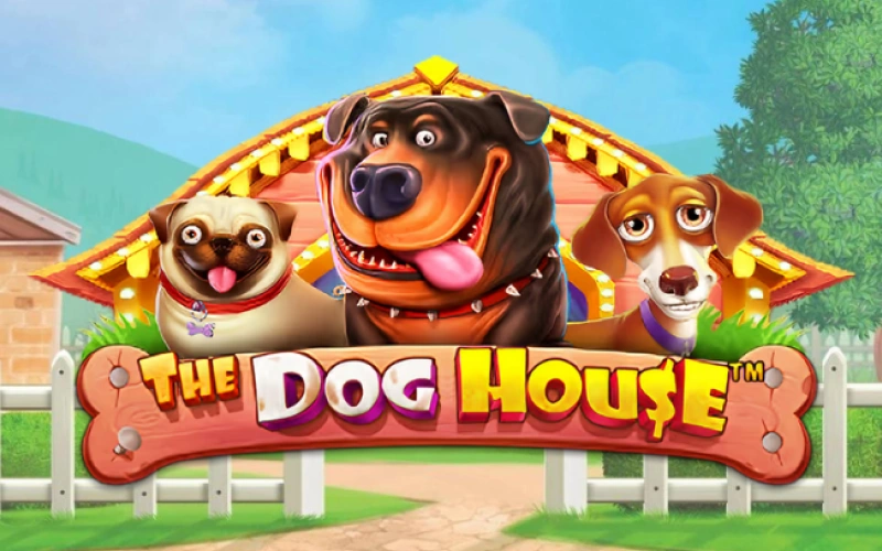 Jugá a la popular slot The Dog House en 22Bet Argentina para ganar grandes premios.